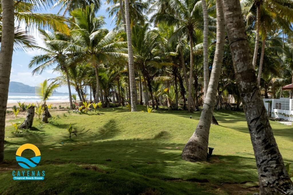 Beachfront Vacation Villa