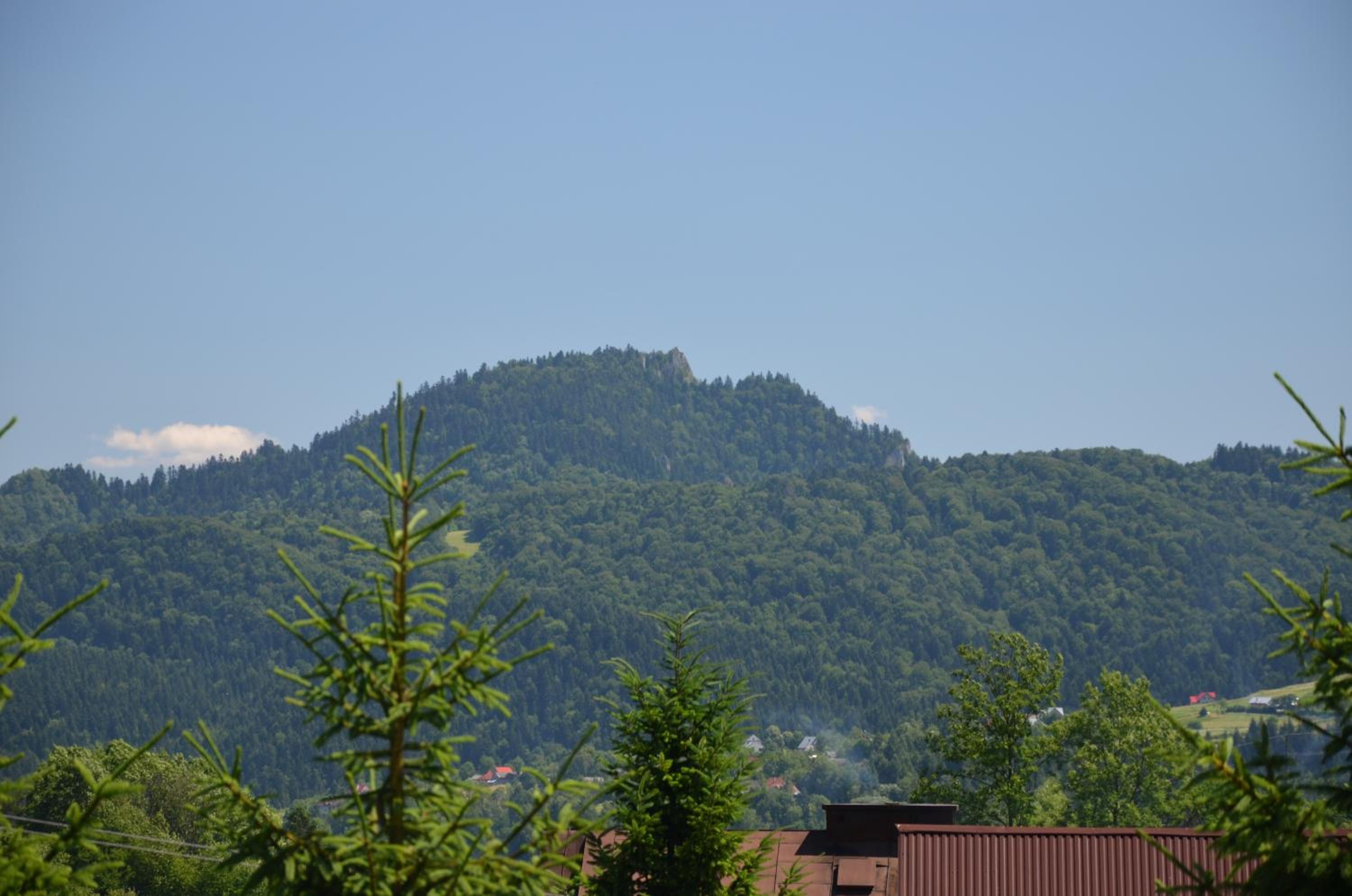 Photo 46