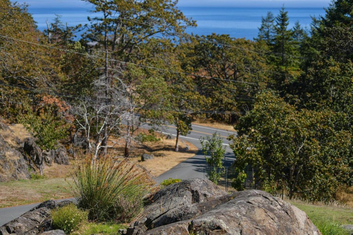 Arbutus Hill