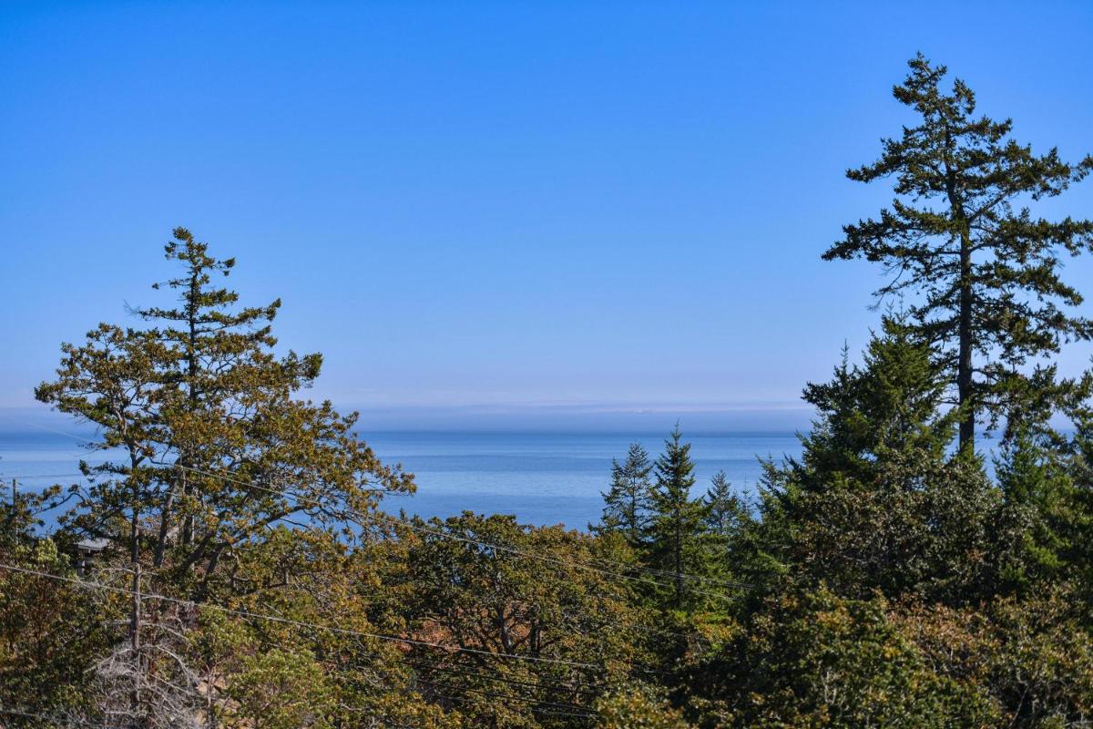 Arbutus Hill