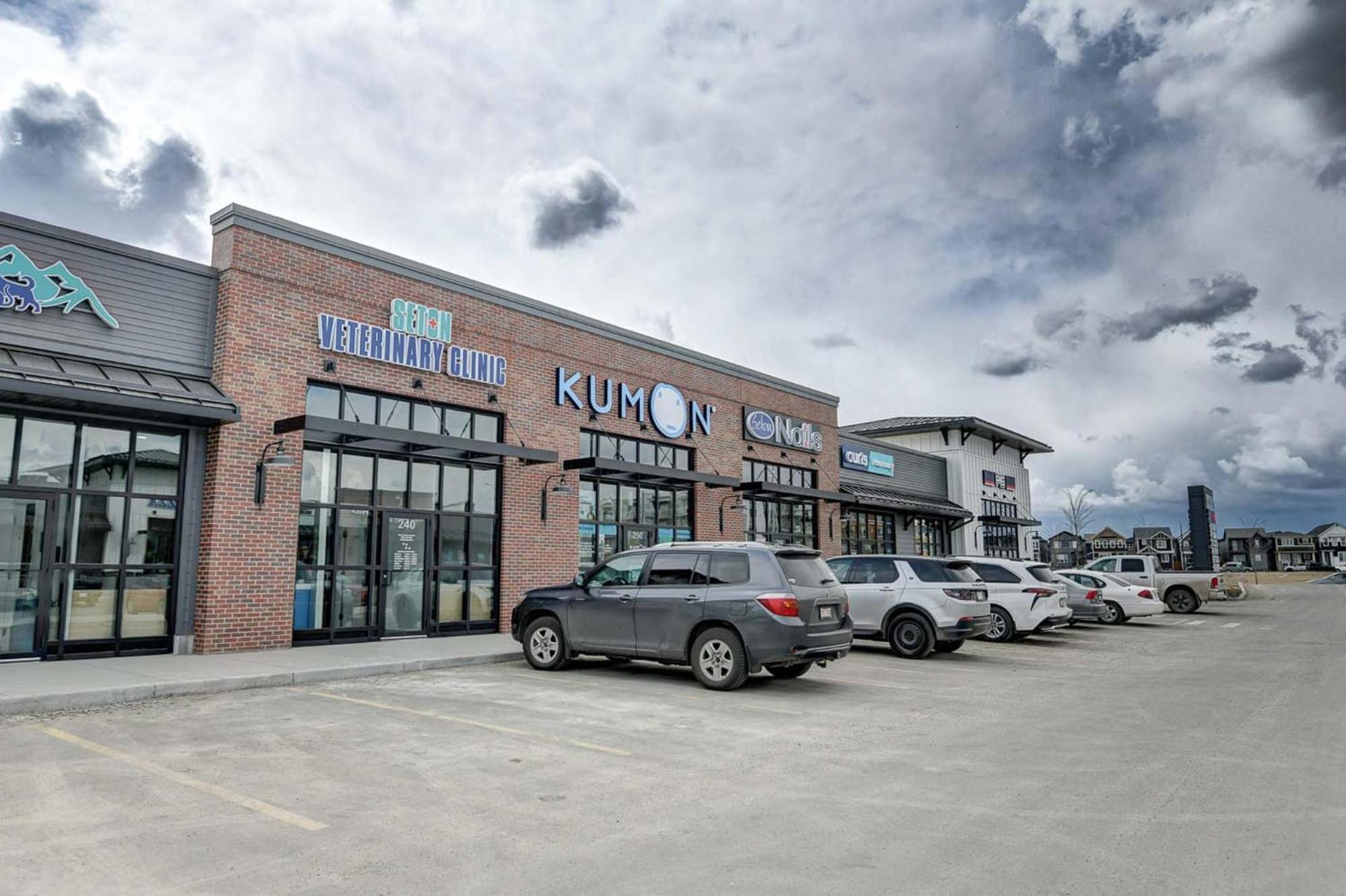Cozy New Suite in Seton, South Calgary