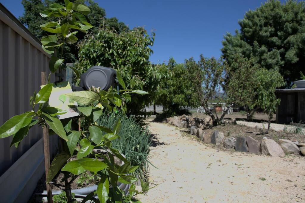 Blue Wren Cottage