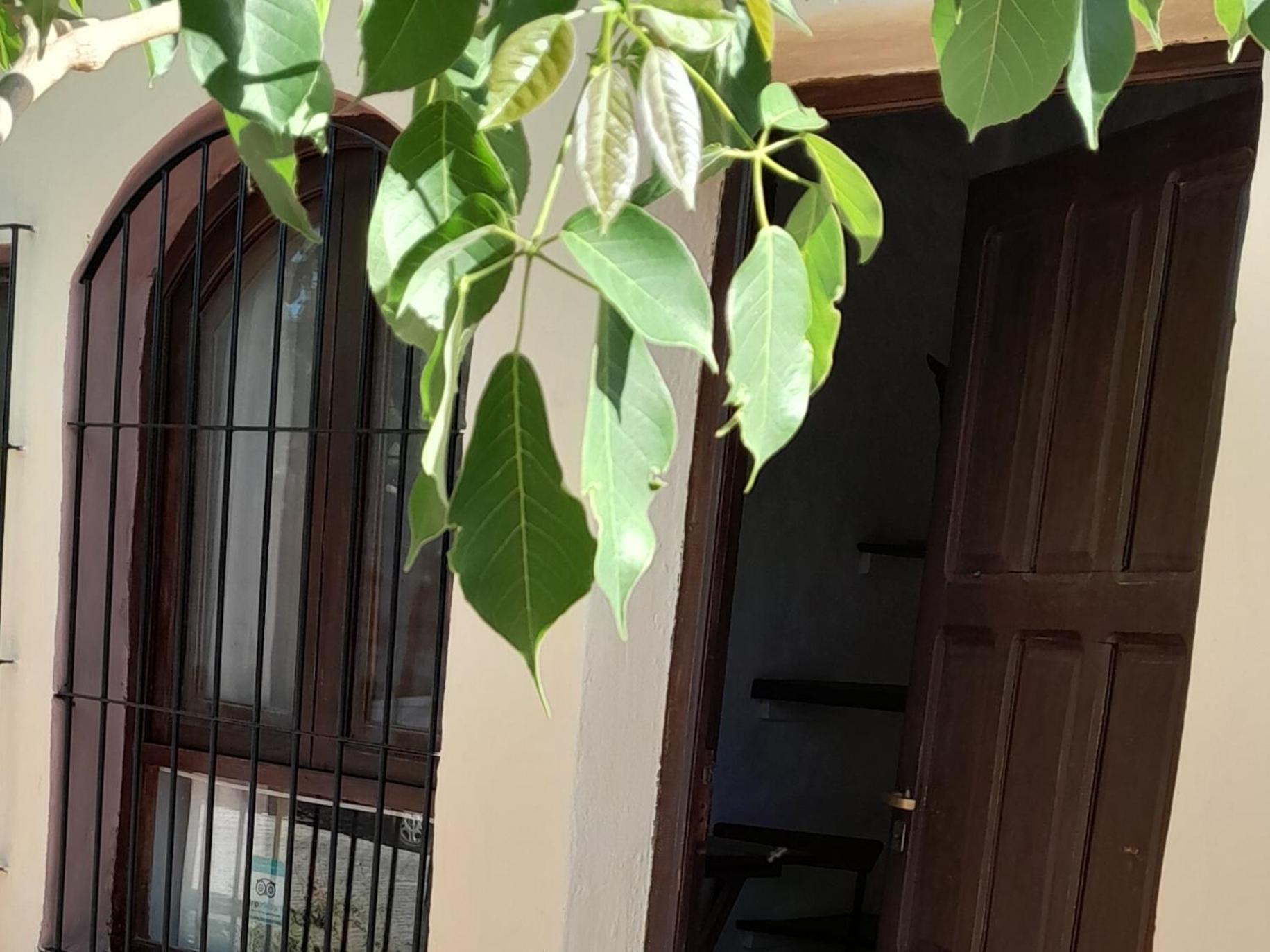 La Montaña B&B