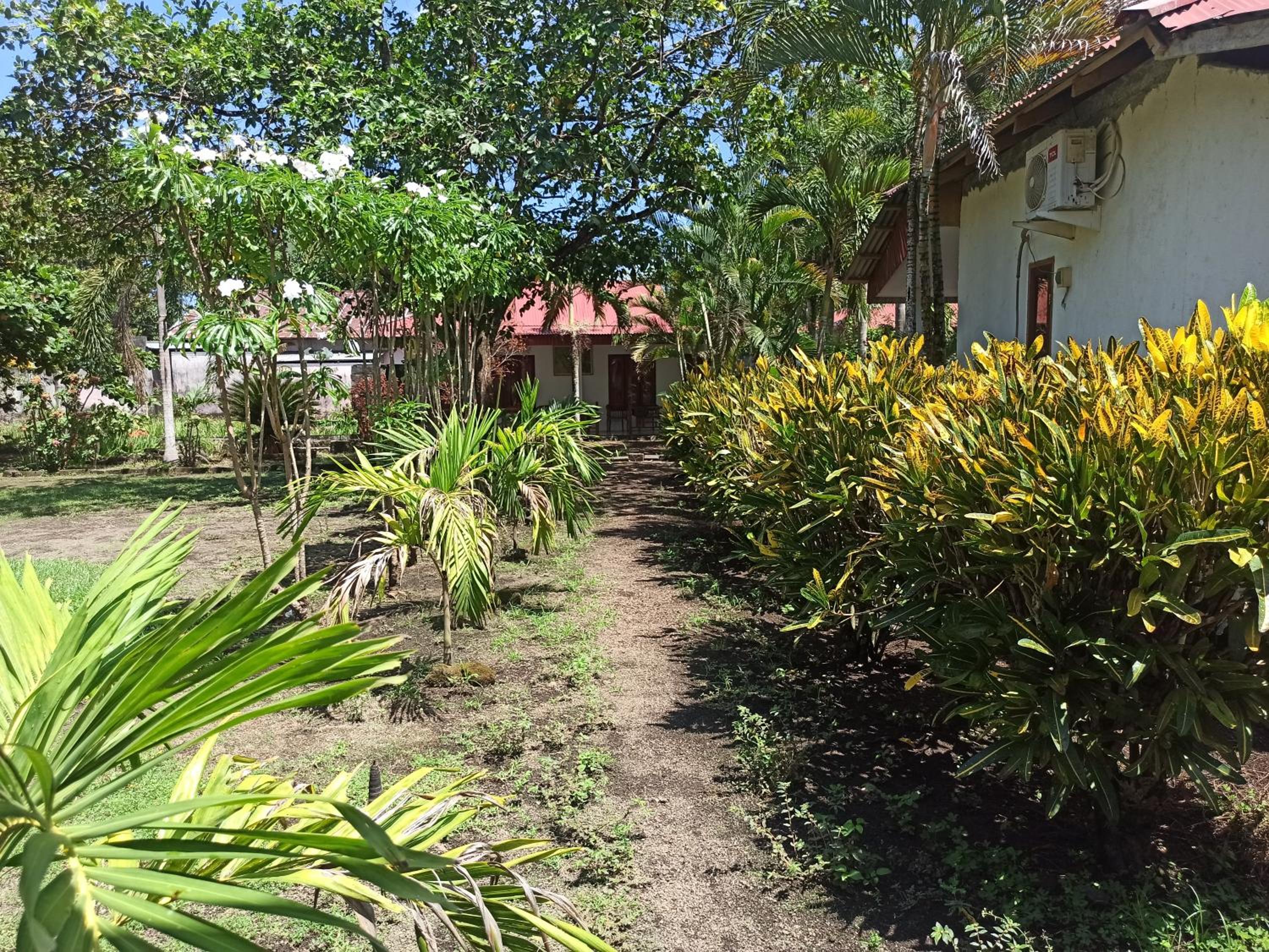 Tangkoko Jungle Homestay view 2