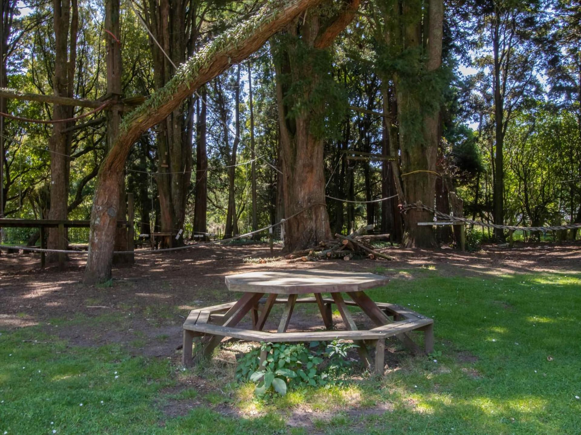 The Eco Lodge - TSB Topec outdoor pursuits centre view 4