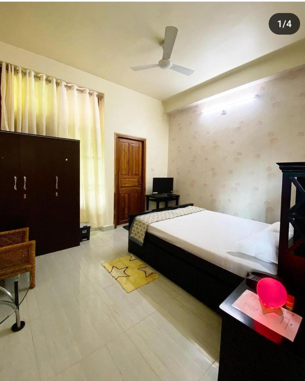 Olive homestay
