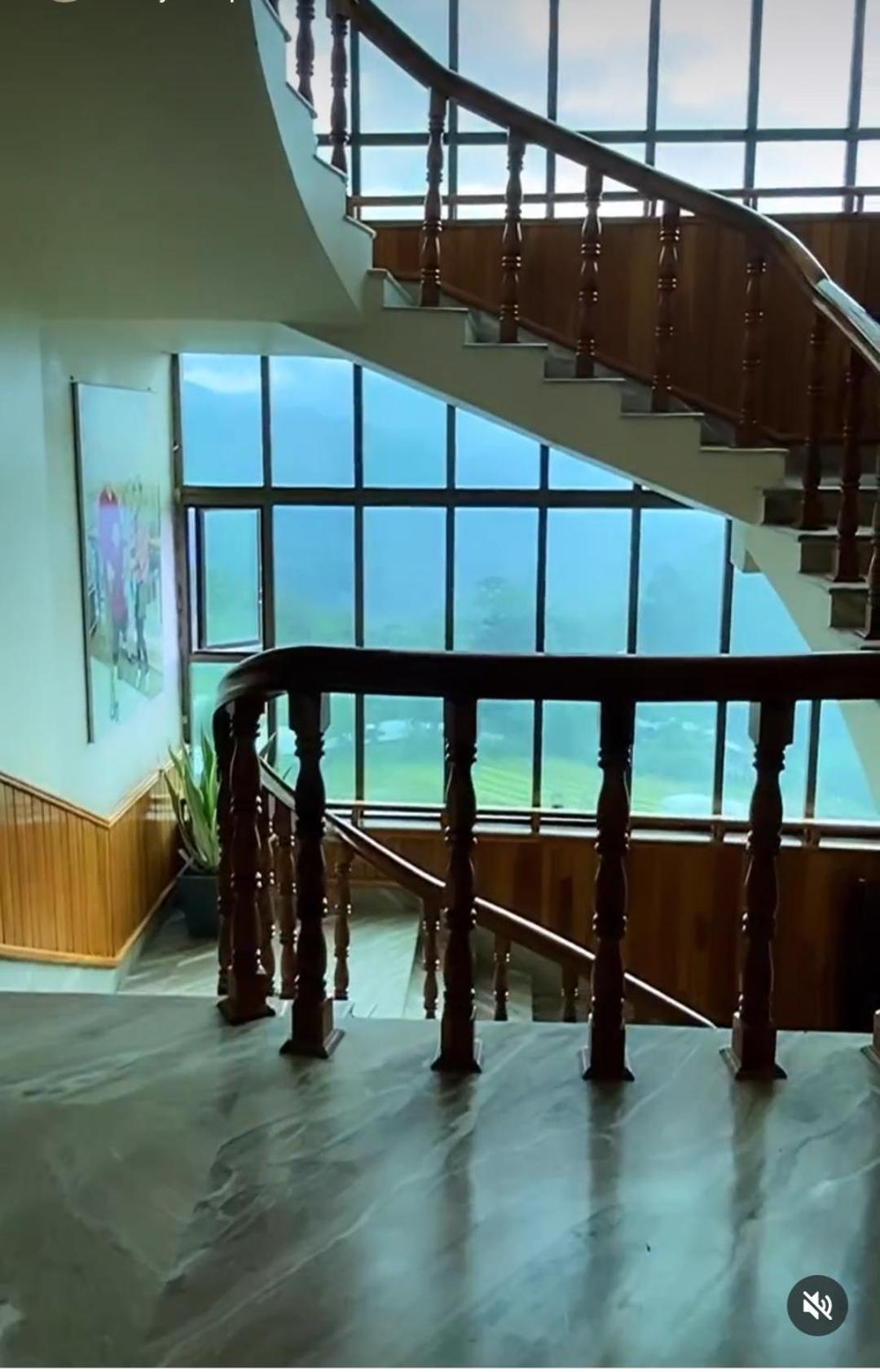 Olive homestay