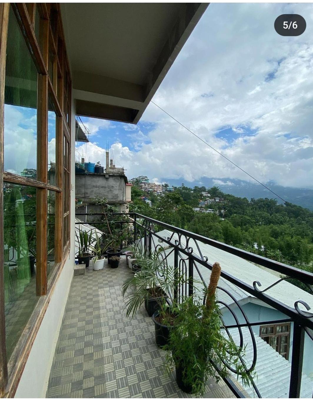 Olive homestay