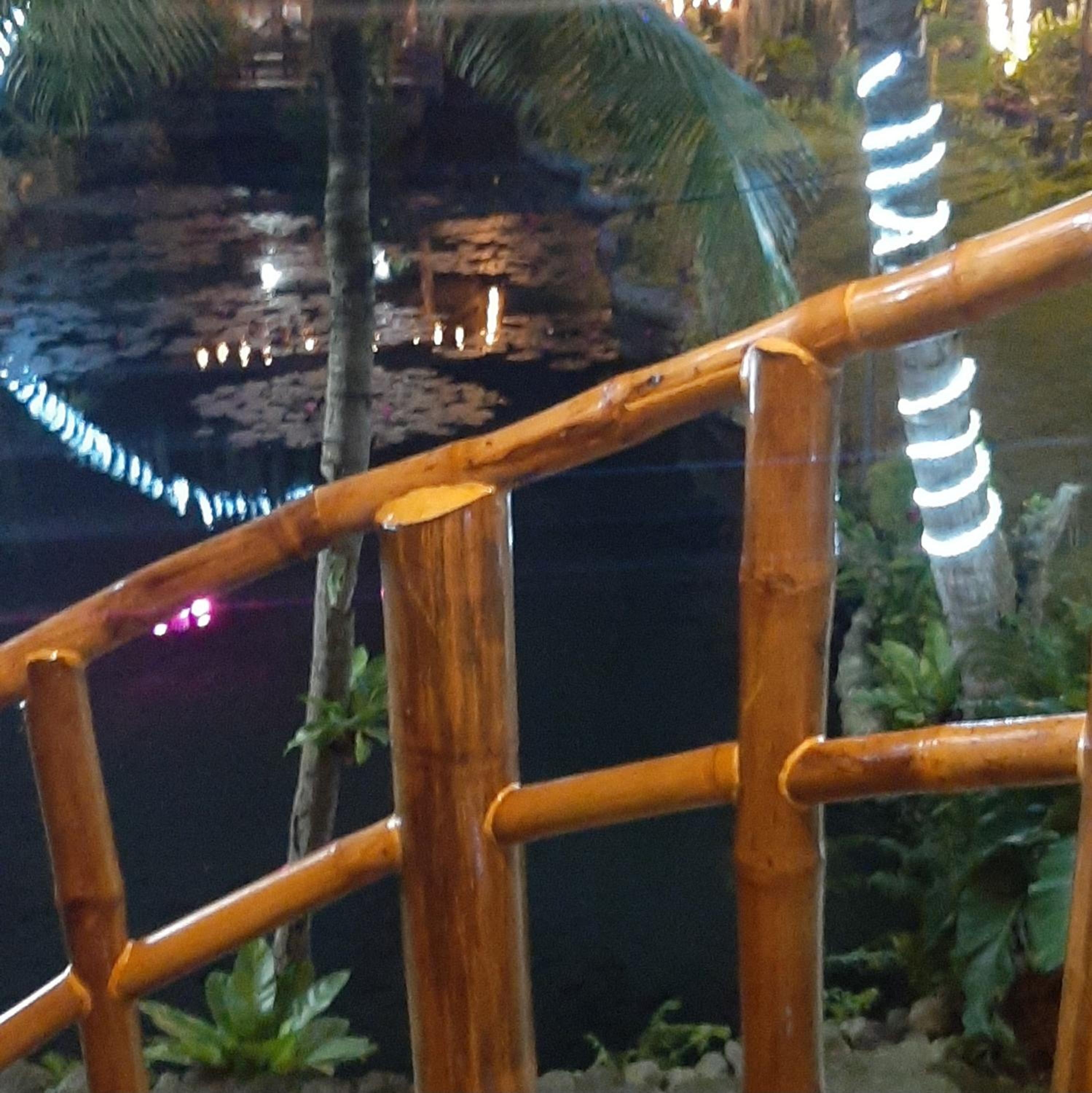 Dumaguete Oasis Treehouse, near airport and mall, beside Magsaysay Elementary School view 3