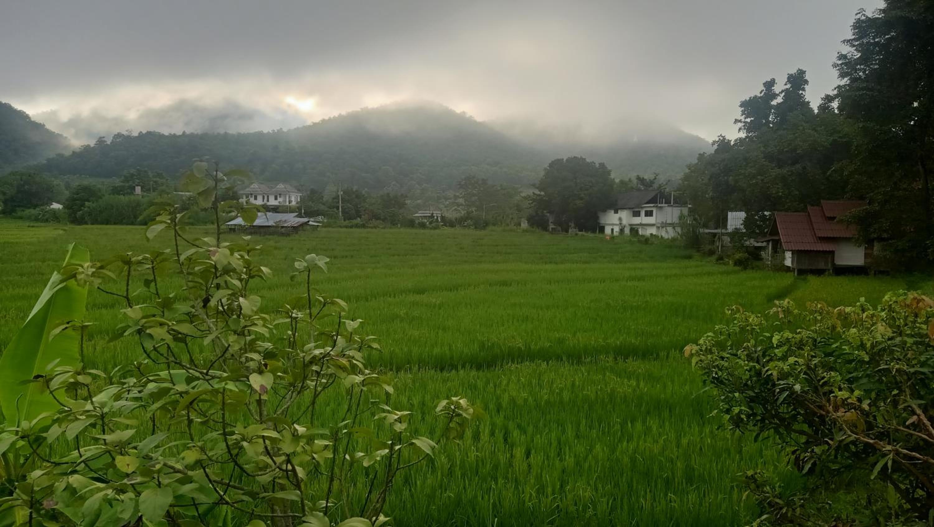 Ing Doi Guest House