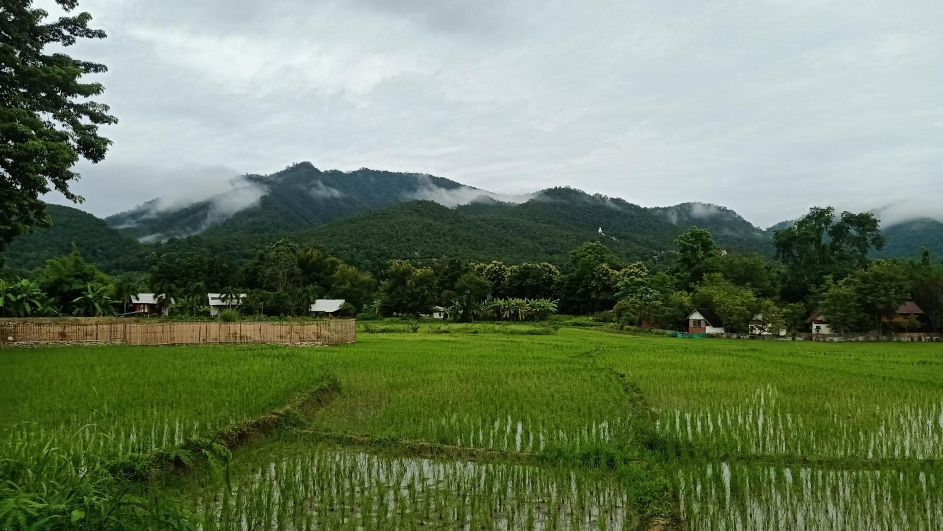 Ing Doi Guest House