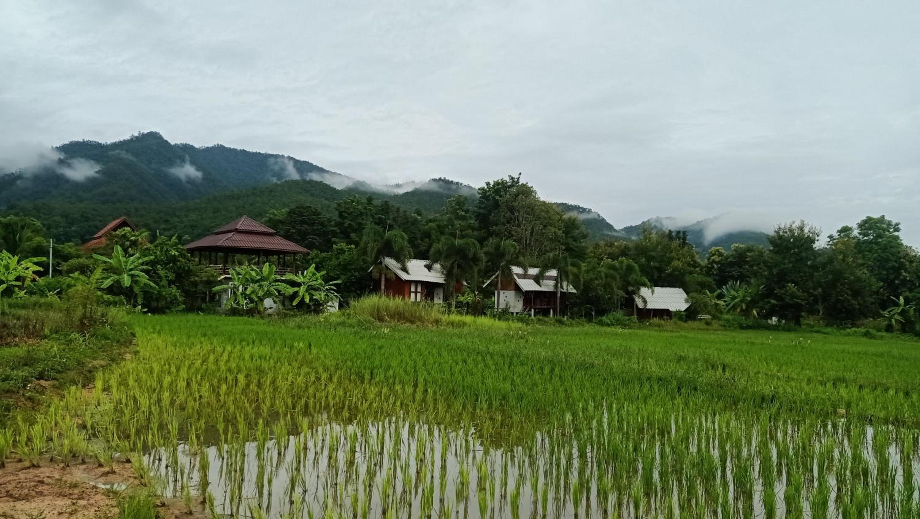 Ing Doi Guest House