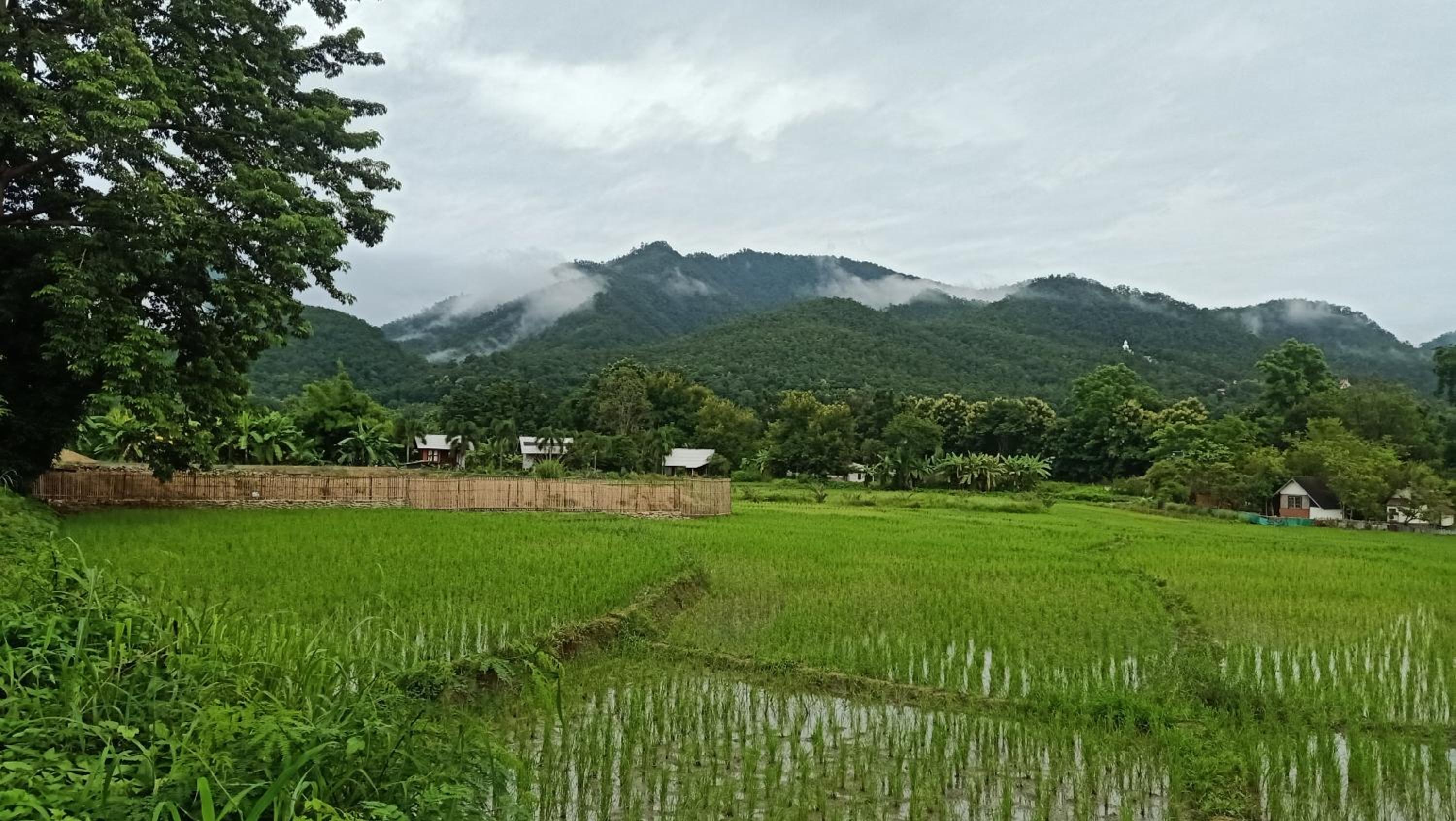 Ing Doi Guest House