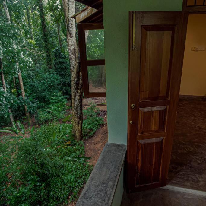 Weralugama Forest House view 2