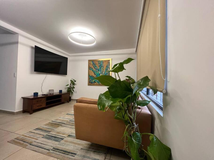 Rooftop & central Apartment photo 3