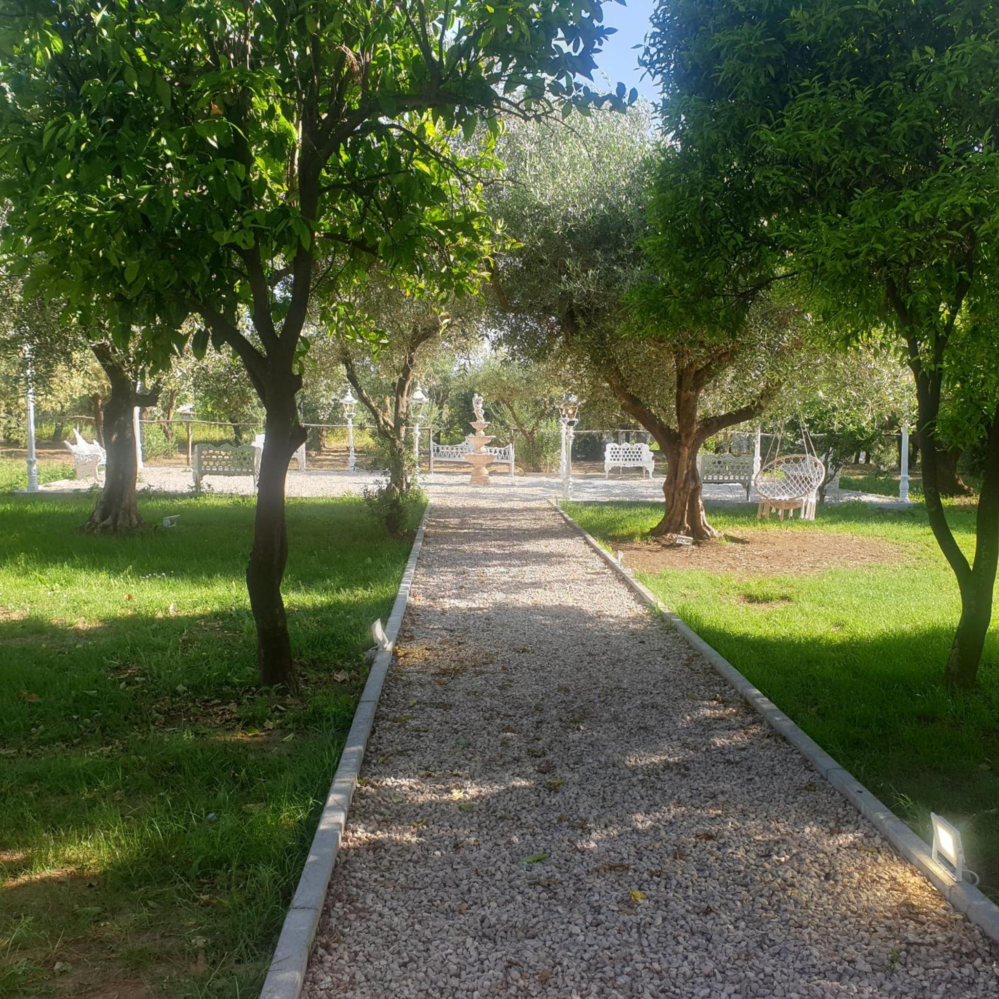 Photo 48