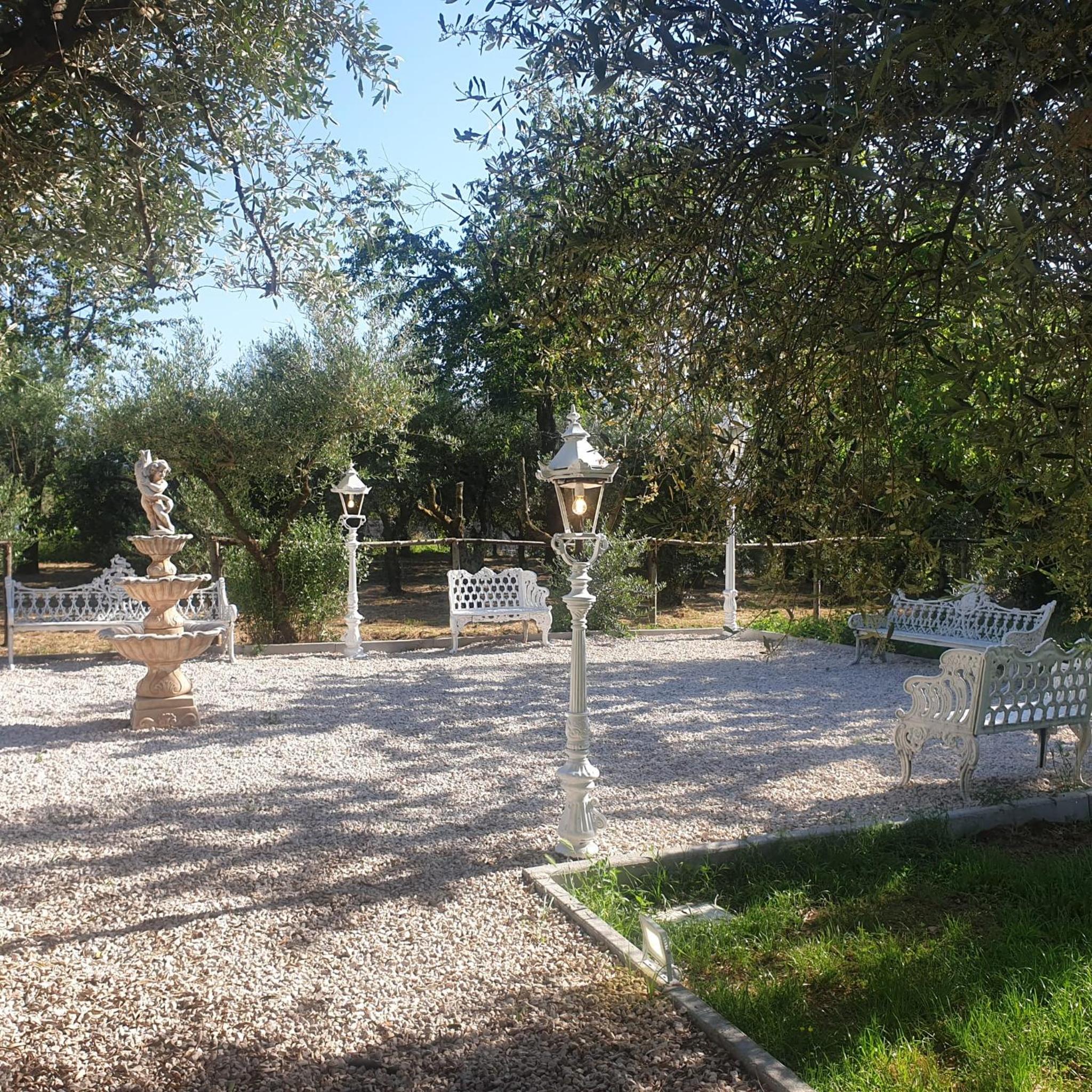 Photo 47