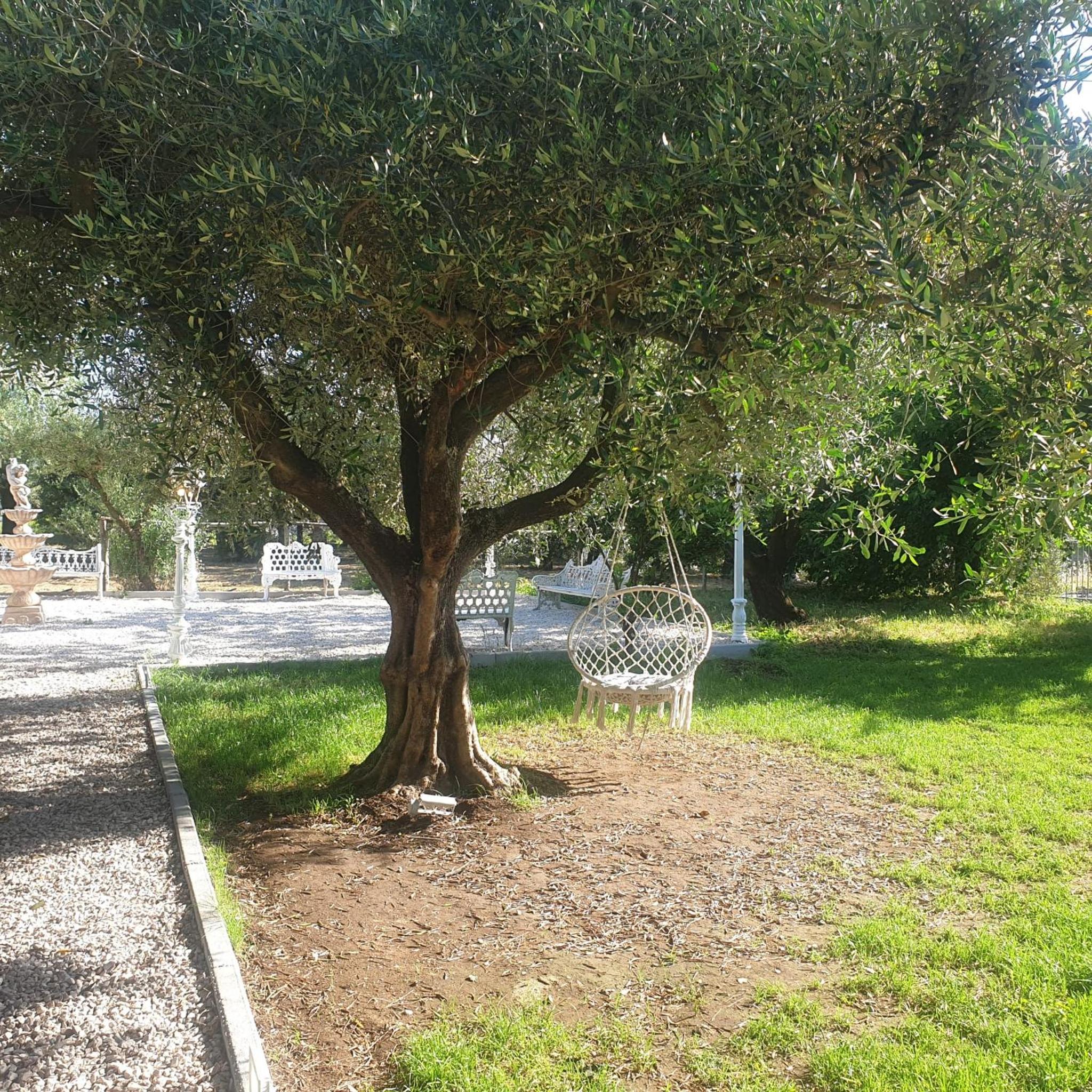Photo 46