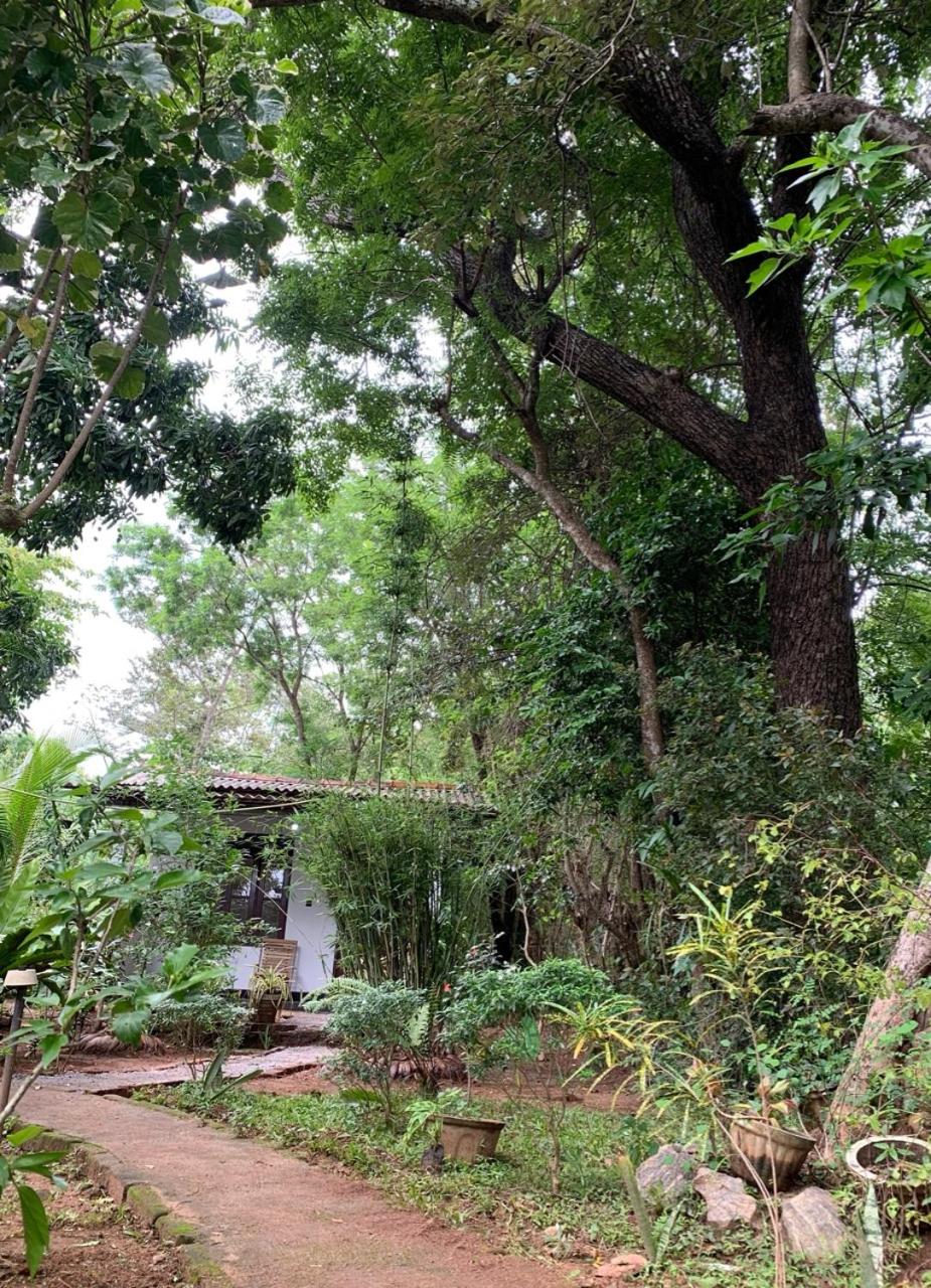 Manju Homestay
