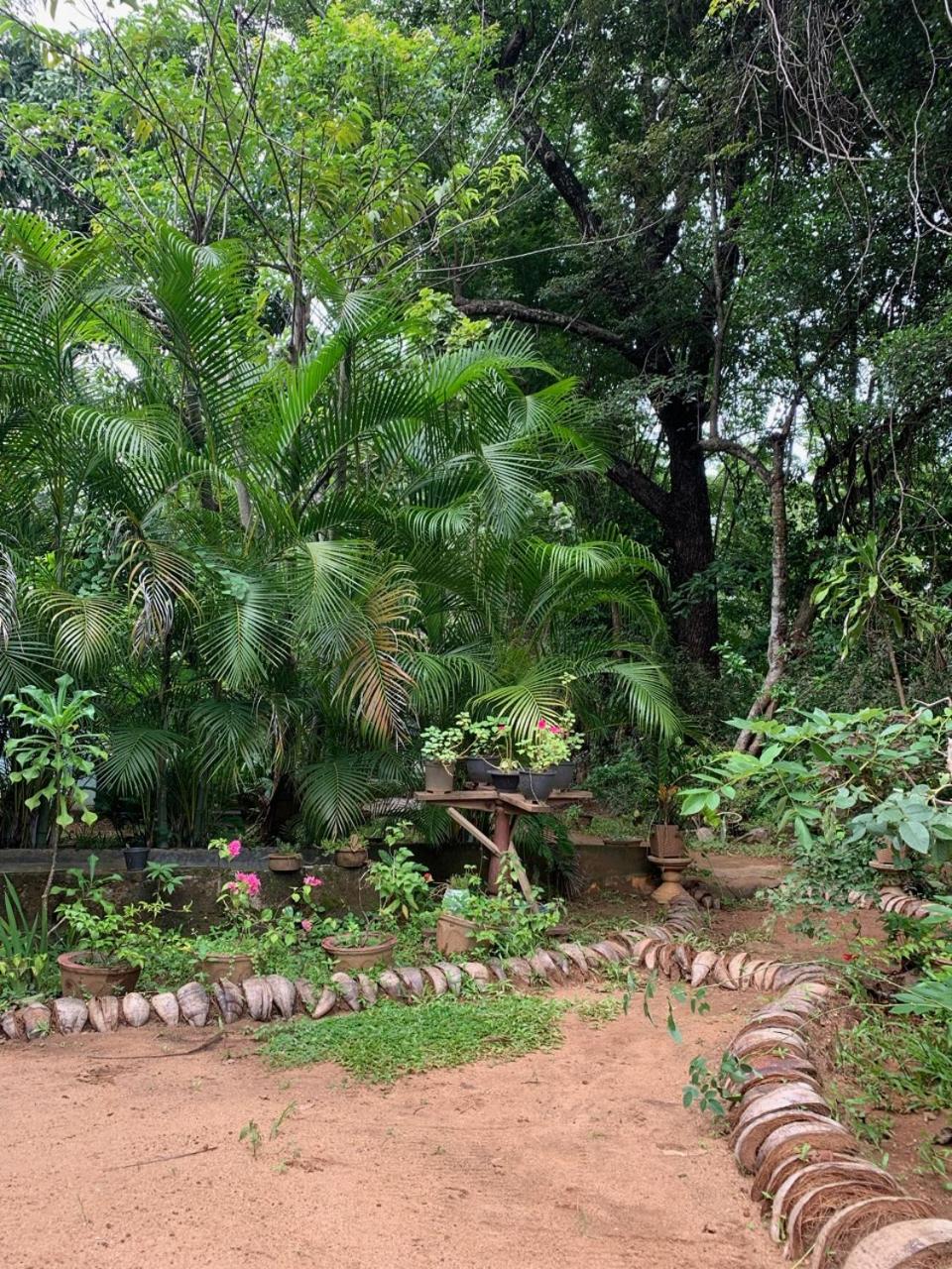 Manju Homestay