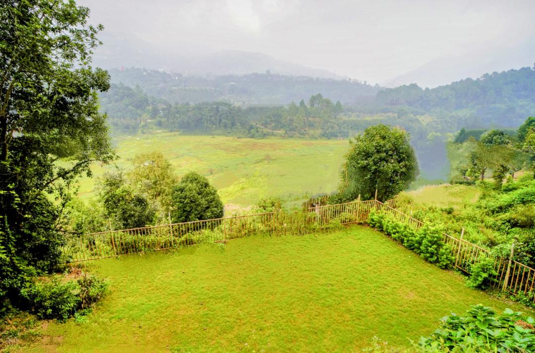 The Grey House Exotic Luxury-Villa view 5