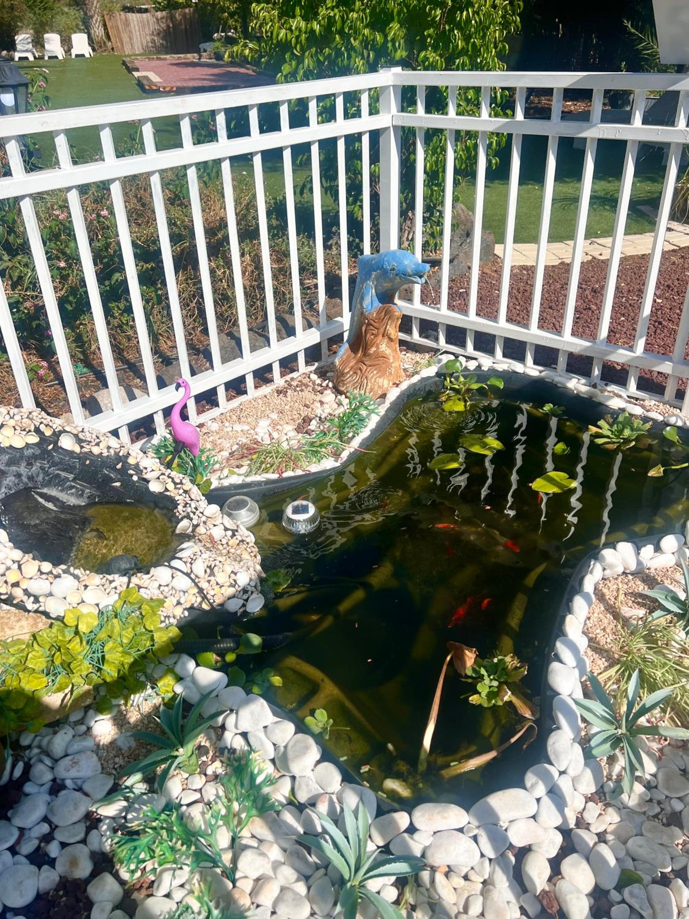 Magical in the Galilee view 4