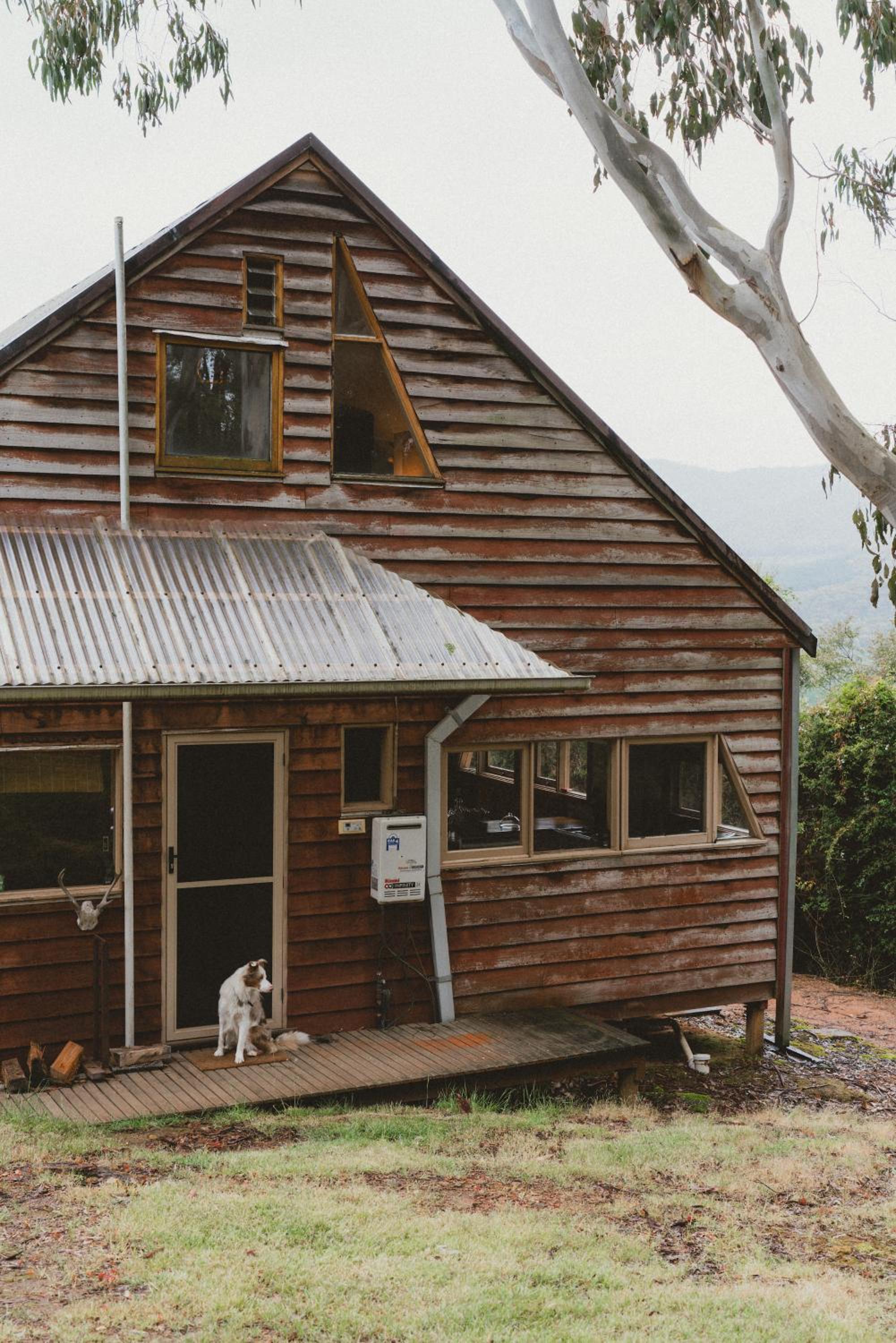 Little Olive Cabin
