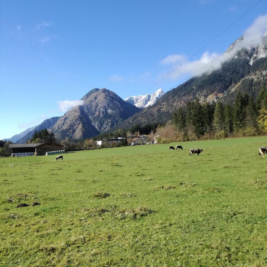 Ferienwohnung Waldfrieden
