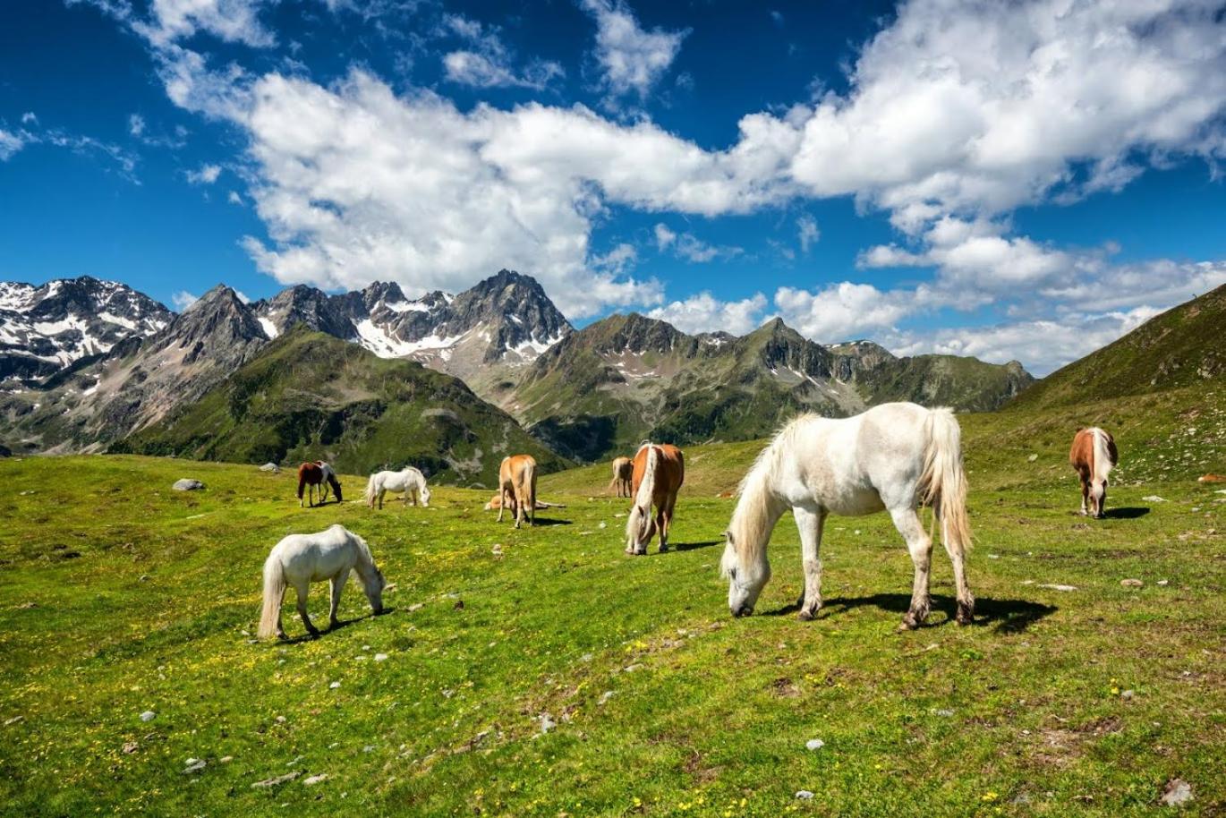Ferienwohnung Waldfrieden