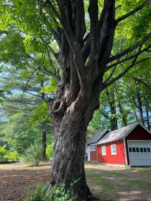 Schoolhouse No. 11 * Hudson Valley Upstate Getaway view 4