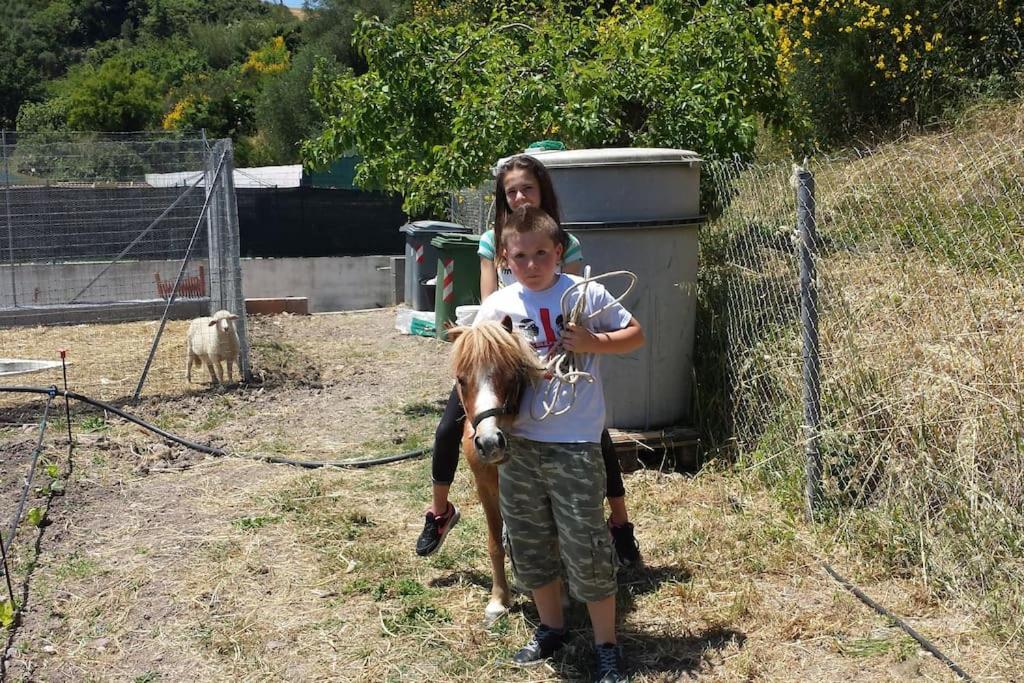 Photo 40