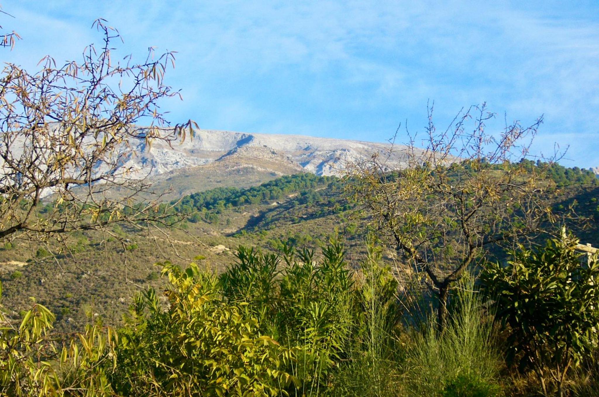 Casa Jardín Natural Sedella