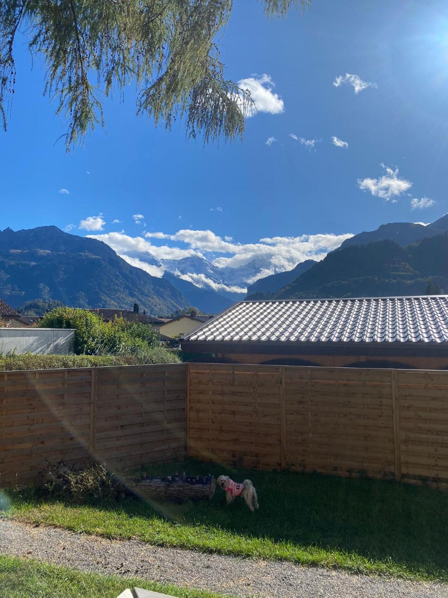 Unique Tiny Eco Lodges with gorgeous views to Jungfrau Massiv