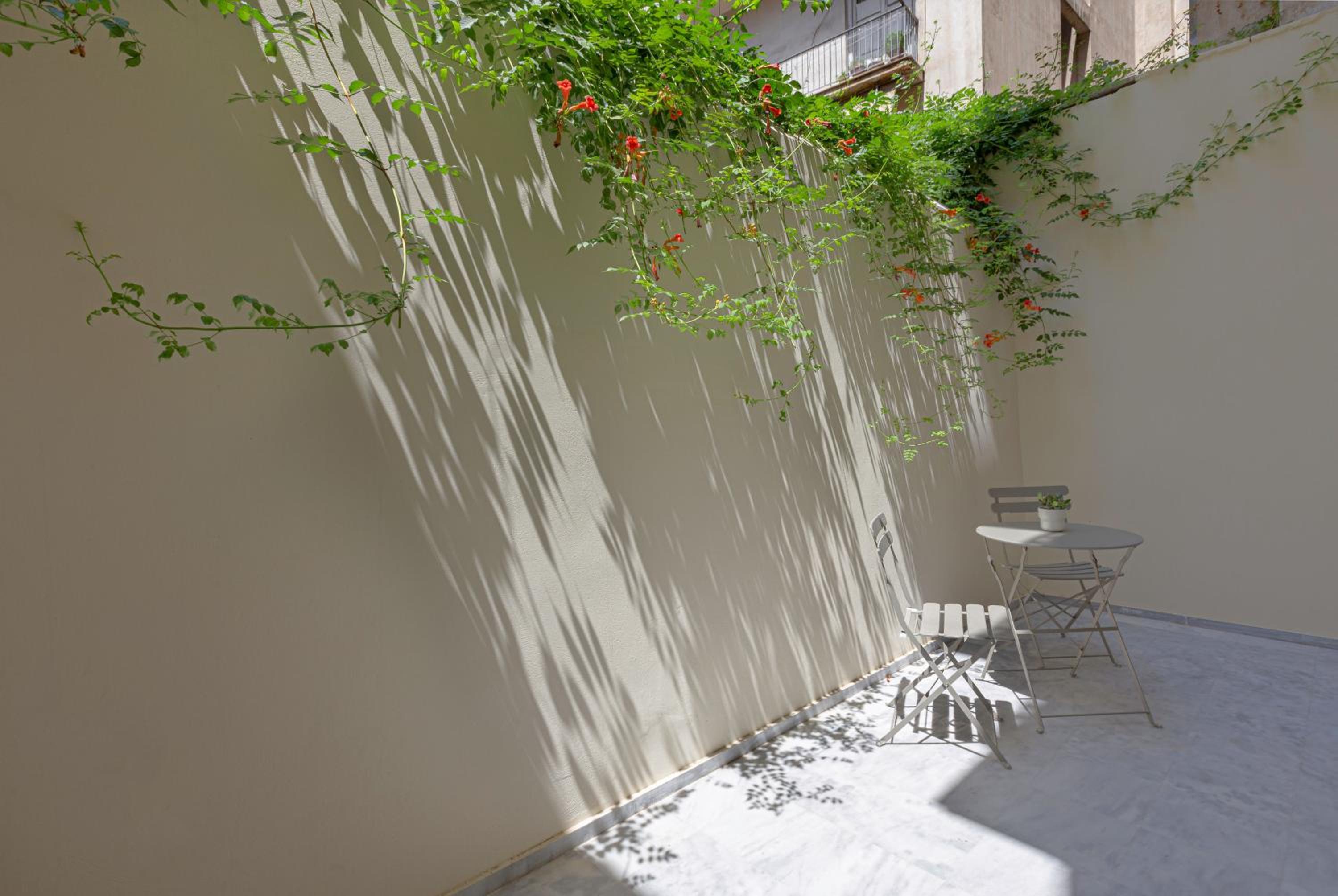 Mooeve Exarchia