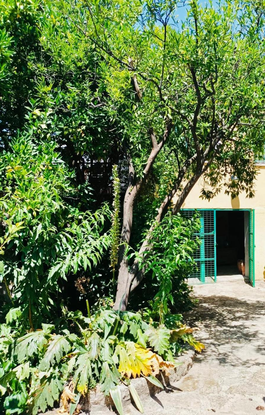 Casa rural Aloha Vera