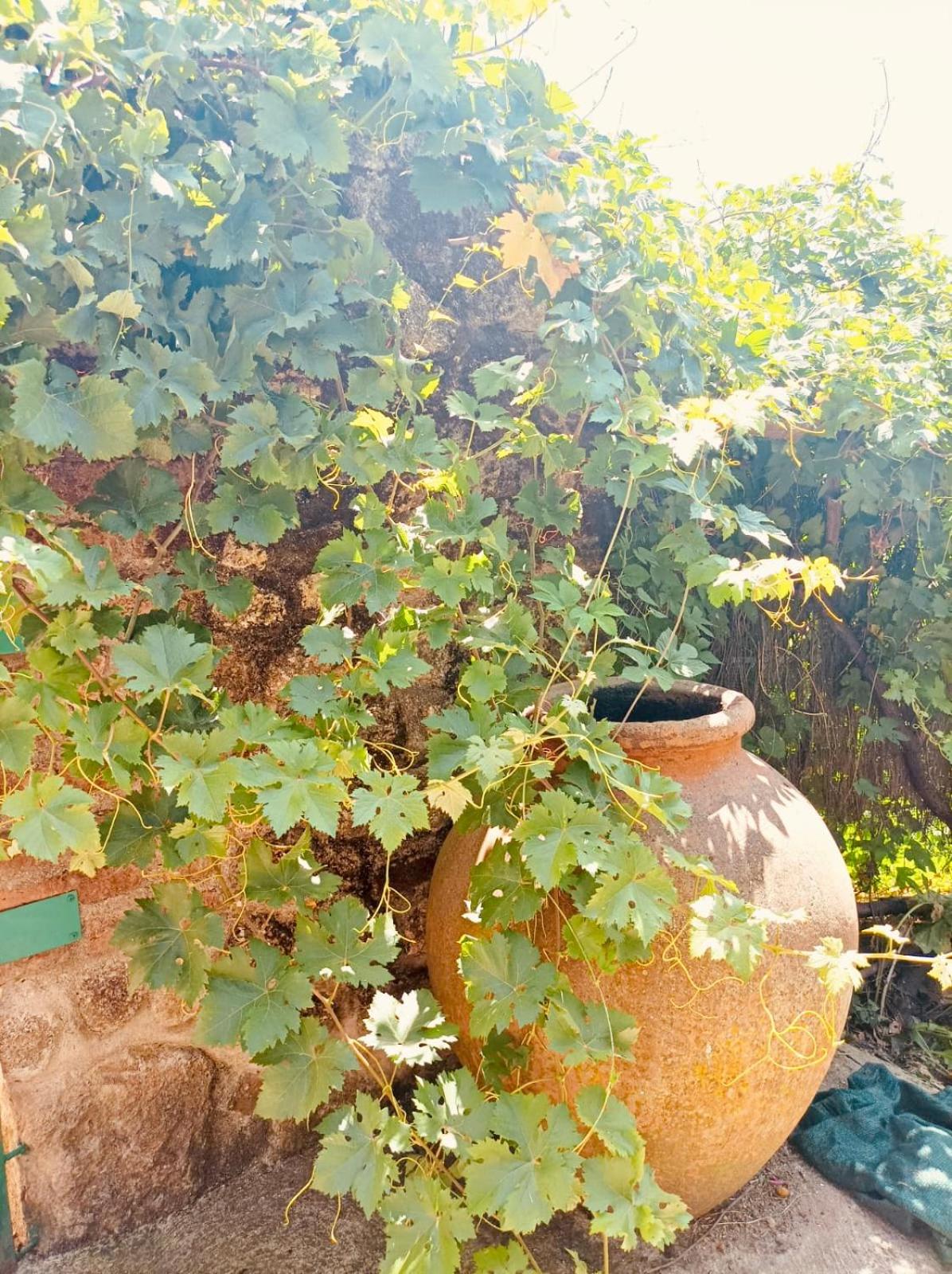 Casa rural Aloha Vera