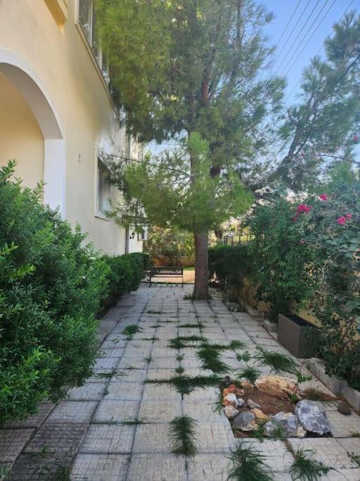 Peaceful oasis