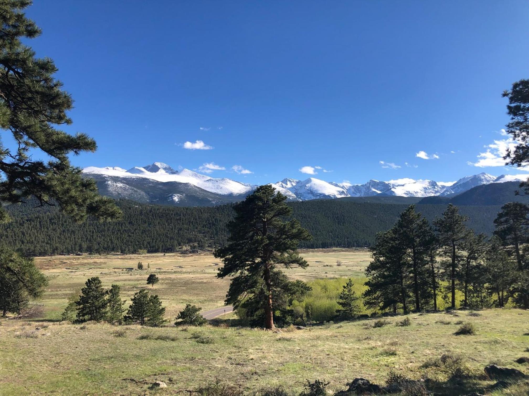 Niwot Cabin - Stay in Rocky Mountain National Park - Estes Park - NEW LISTING - 22-ZONE3298 cabin - Property Image 3