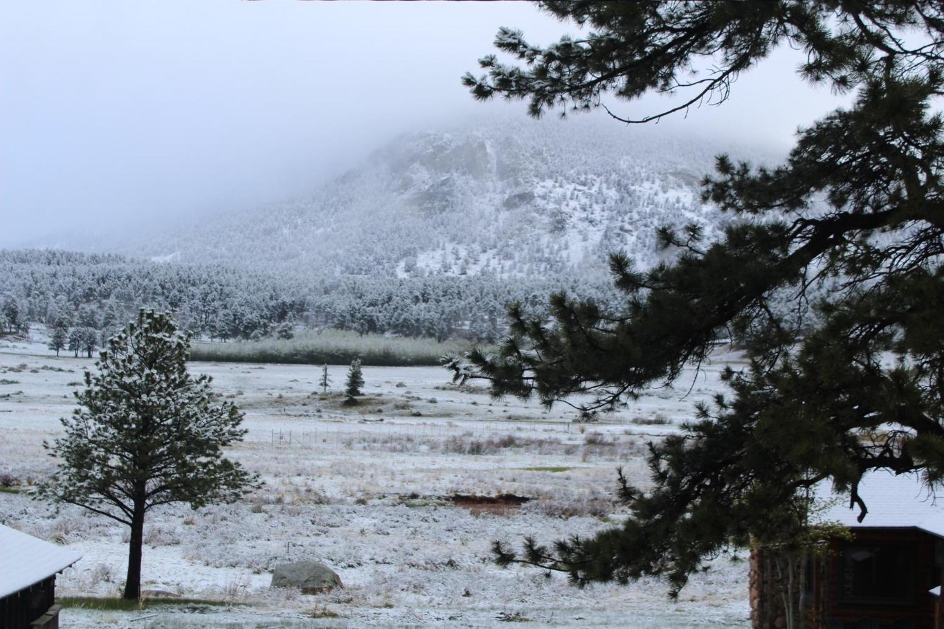 Niwot Cabin - Stay in Rocky Mountain National Park - Estes Park - NEW LISTING - 22-ZONE3298 cabin - Property Image 5