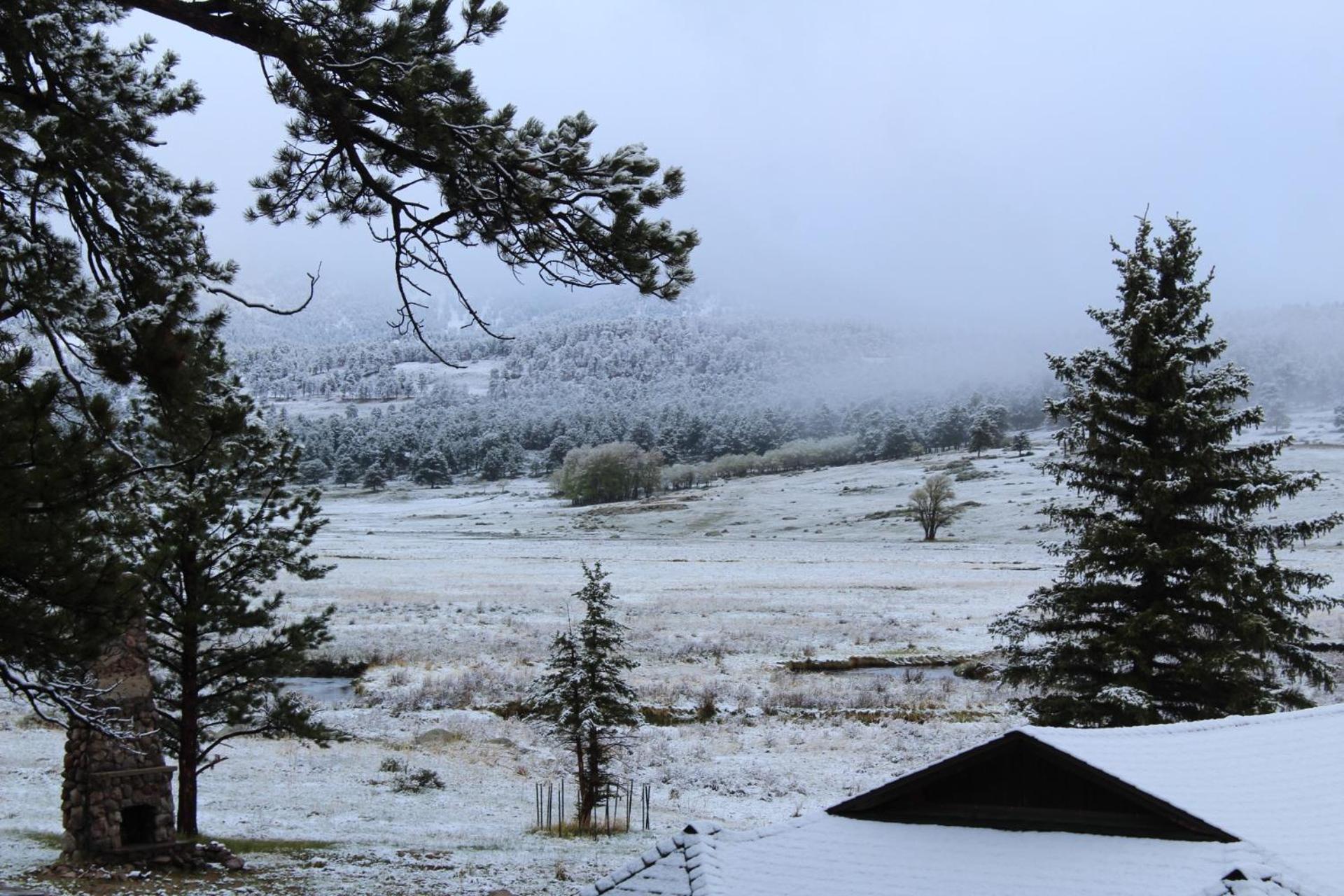 Niwot Cabin - Stay in Rocky Mountain National Park - Estes Park - NEW LISTING - 22-ZONE3298 cabin - Property Image 7
