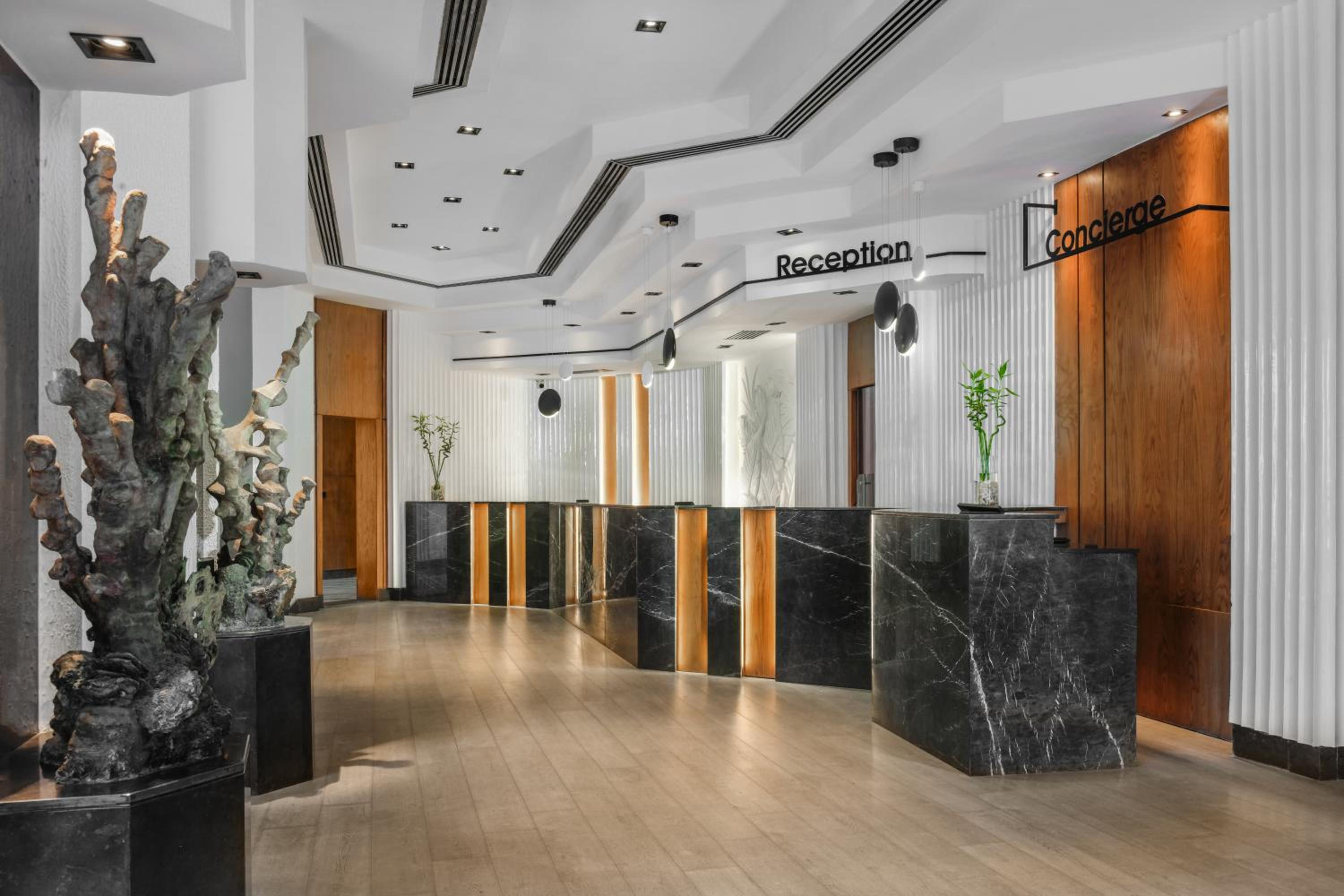 recepcion & lobby