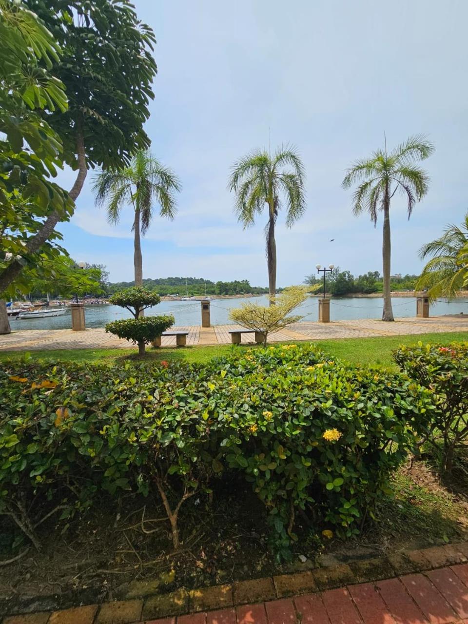 Newly refurbished Cozy PD Bayview Apartment with Ocean View photo 7