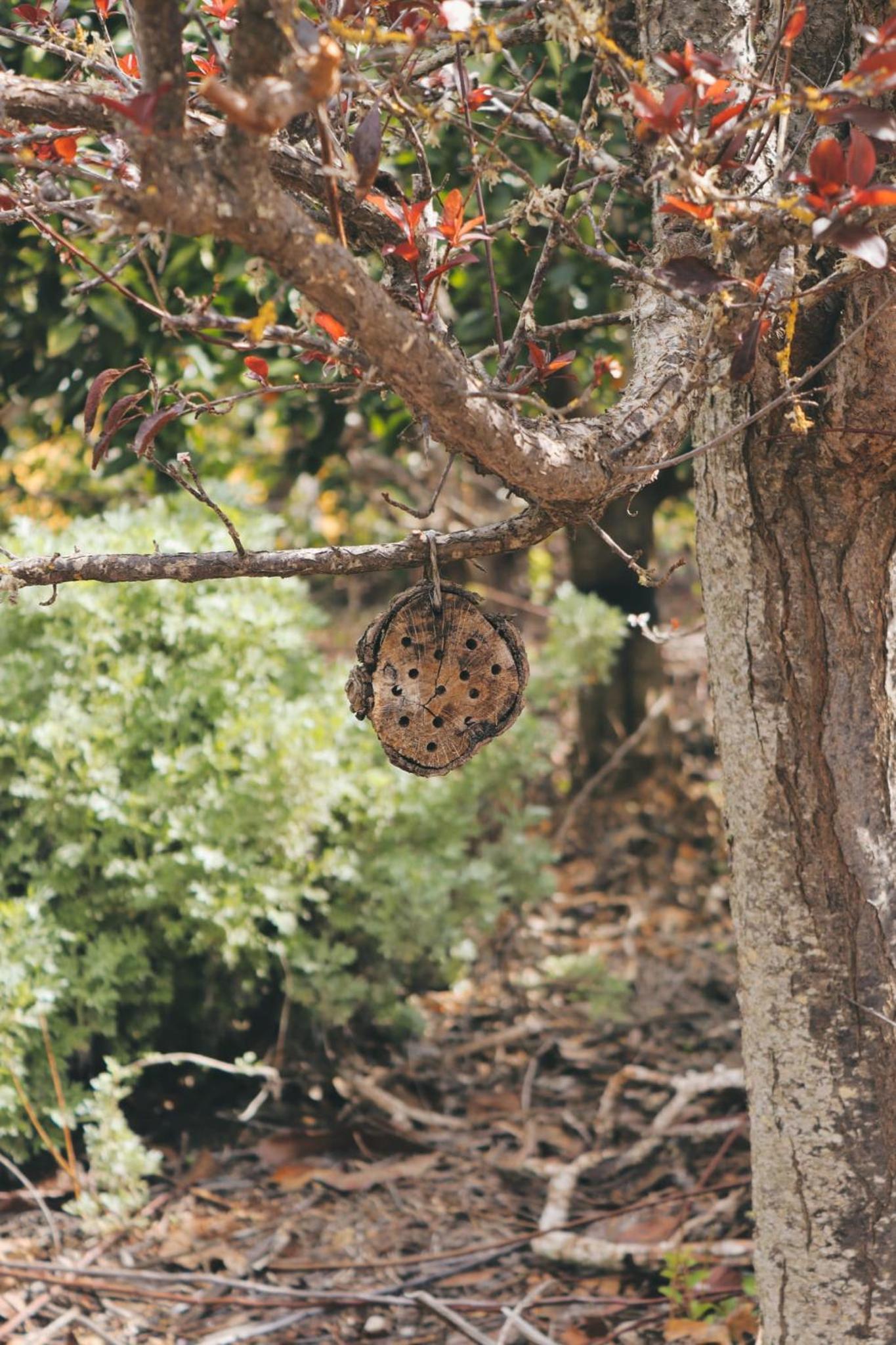 Ecofinca Selva Doramas