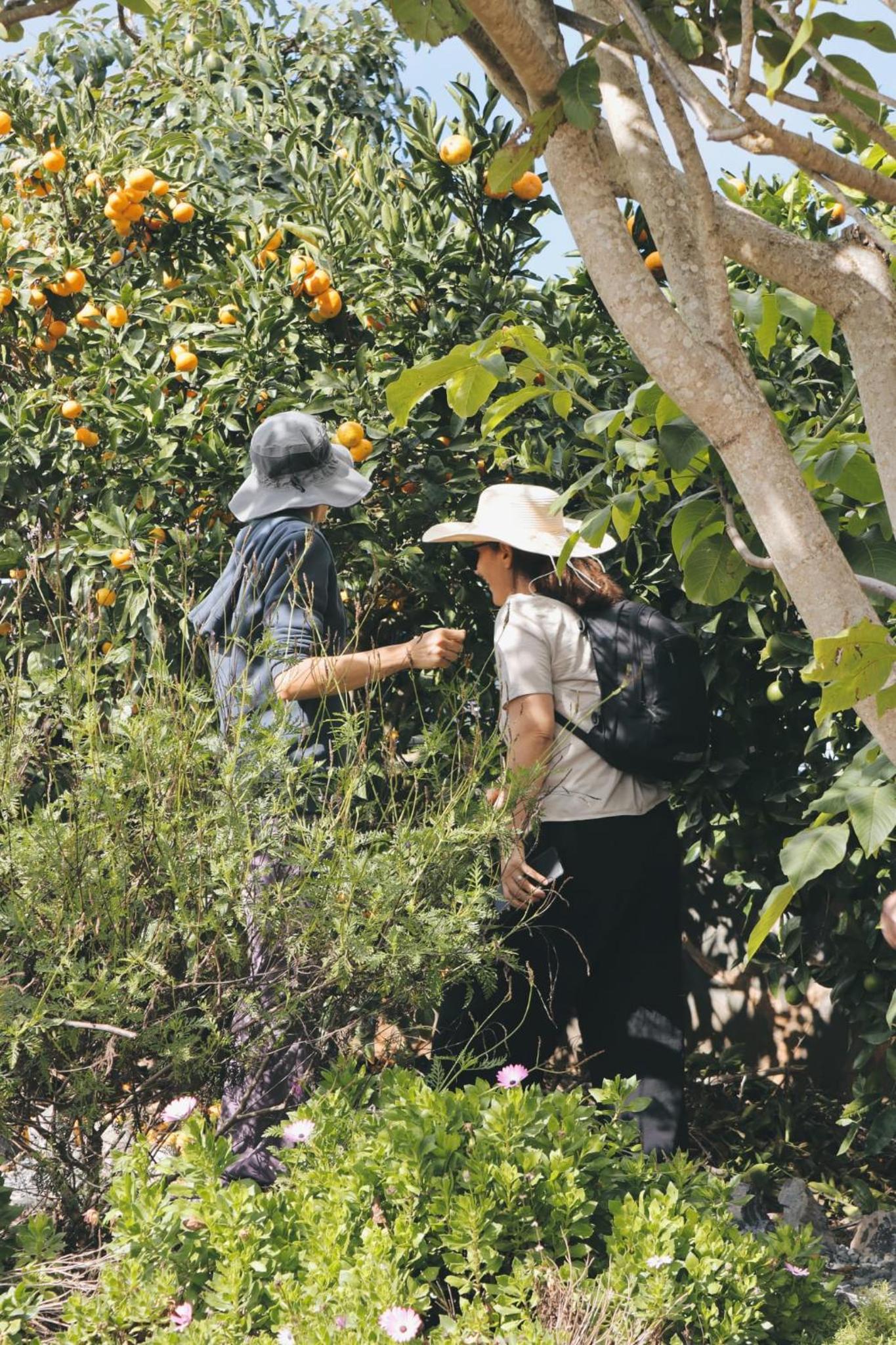 Ecofinca Selva Doramas