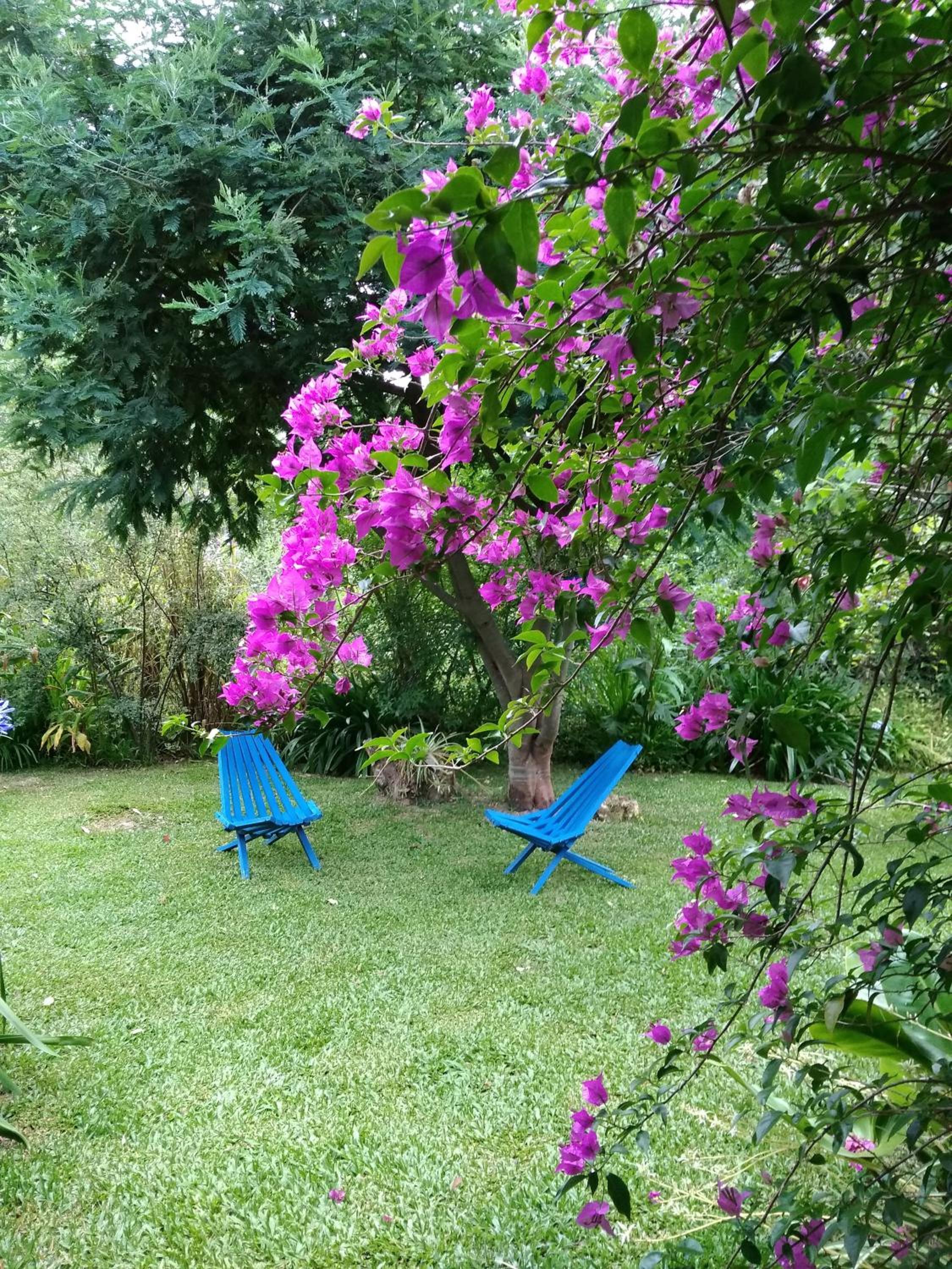 El viento en los sauces view 3