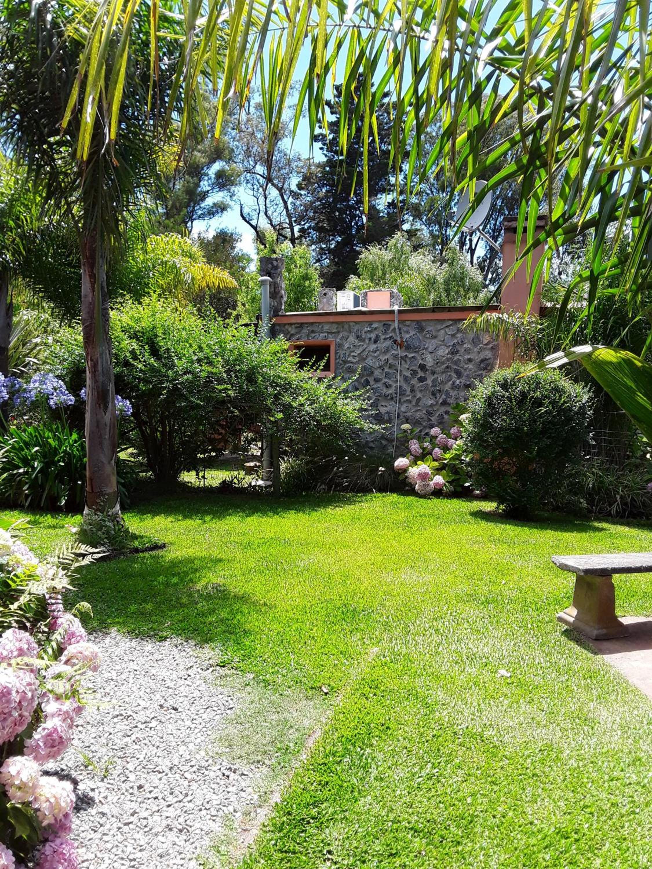 El viento en los sauces view 4
