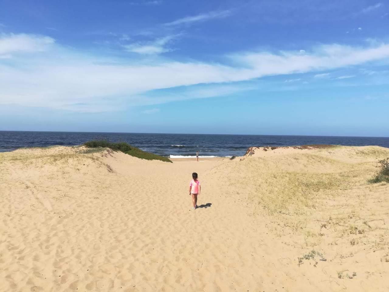 El viento en los sauces view 5