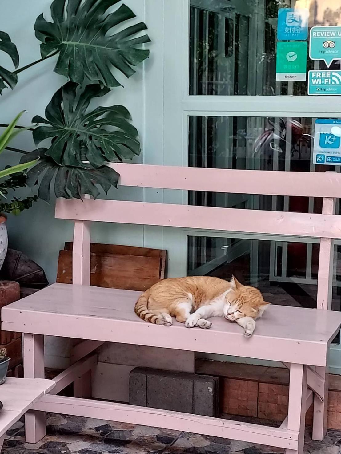 The Commonroom CNX