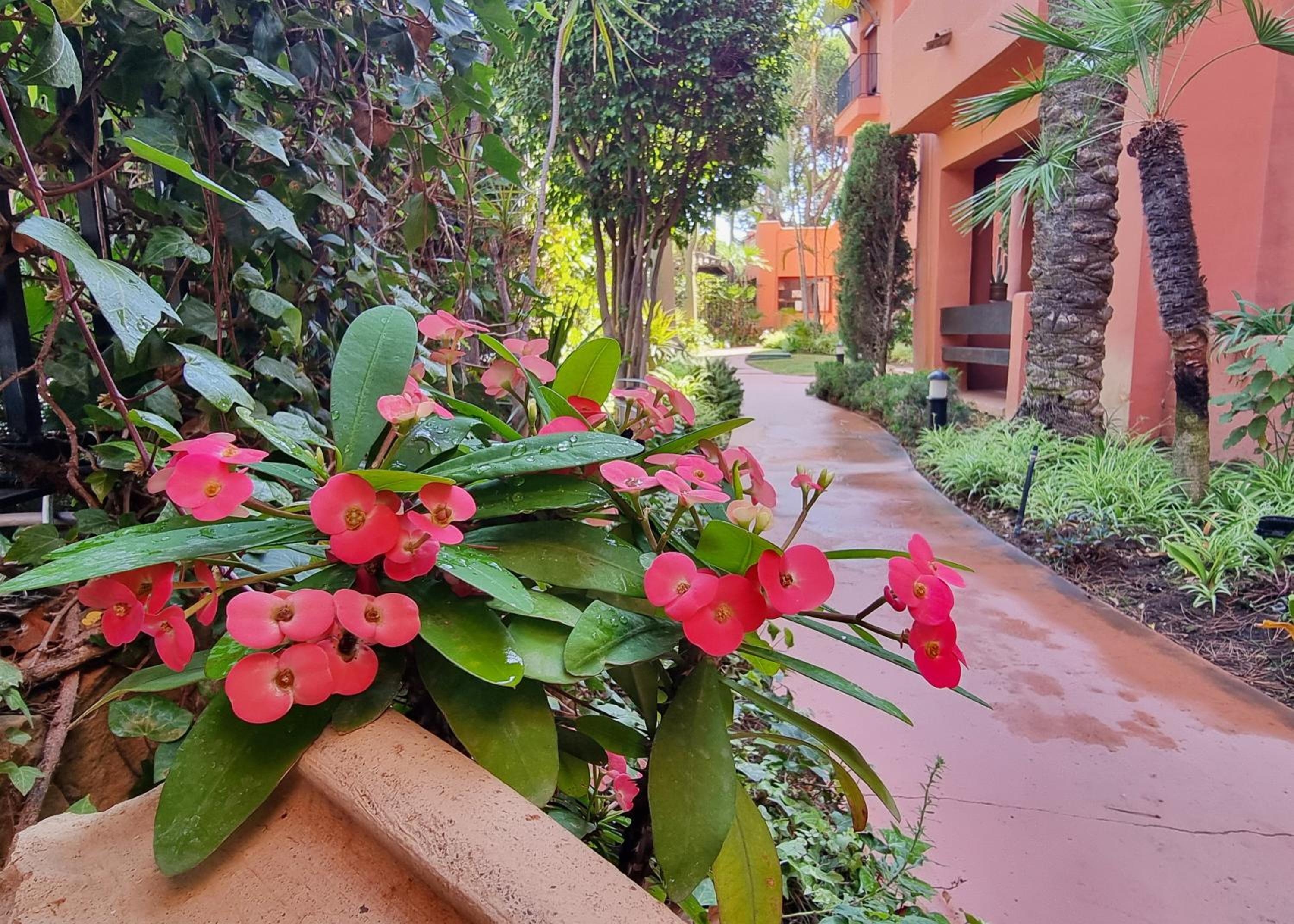 Luxury Apartment in Jardines De Don Carlos