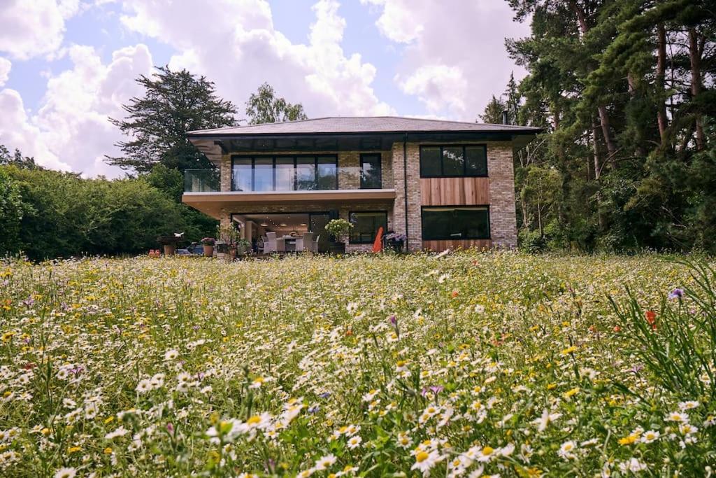 Rural retreat by the river